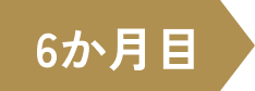 6か月目